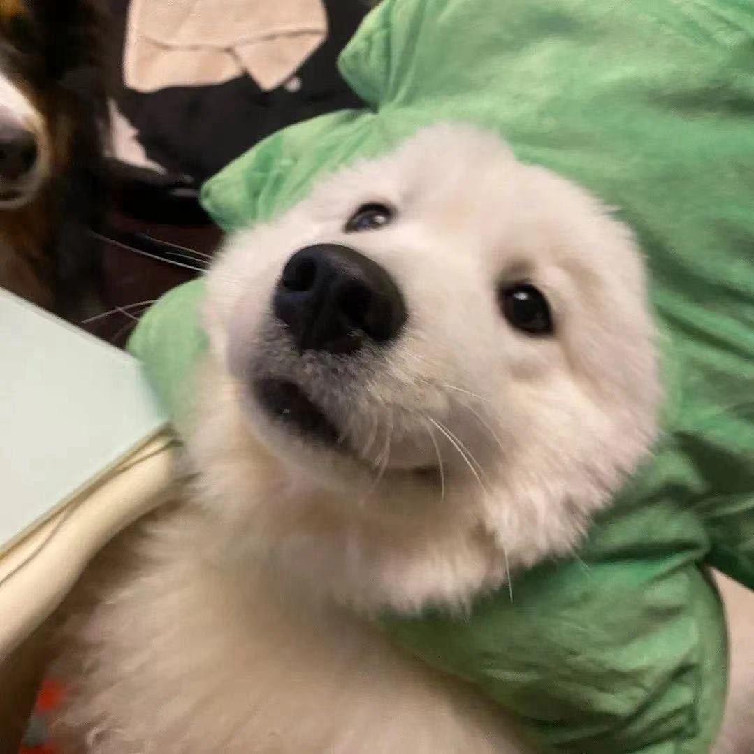 ¥