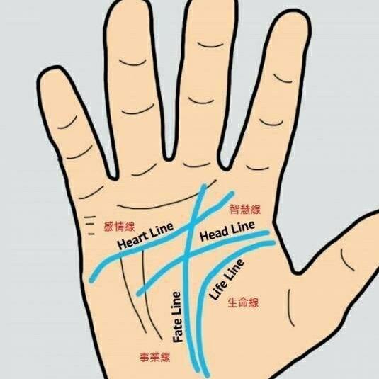 老相生( ͡° ͜ʖ ͡°)