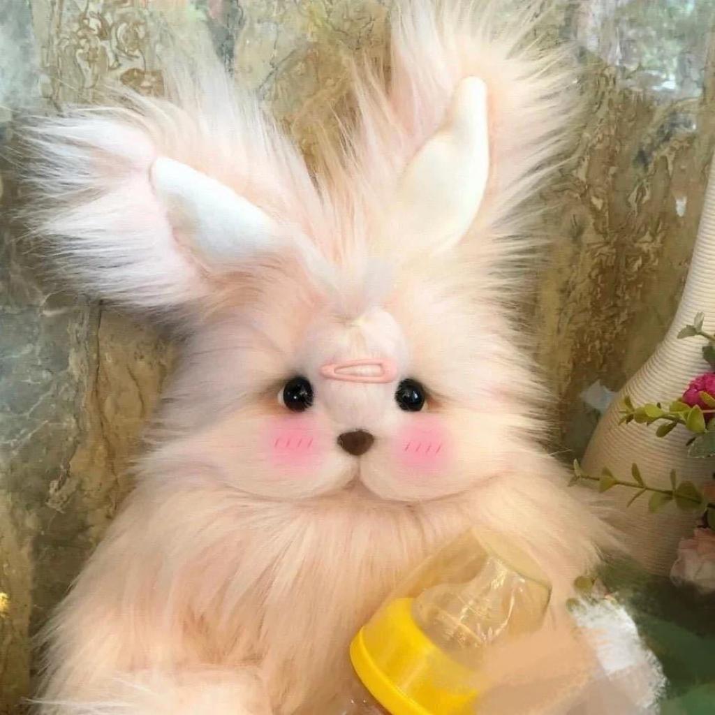 乐乐（雪山咨询）