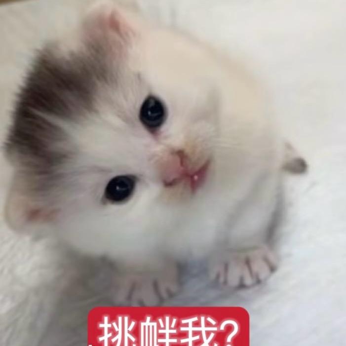 不要加妍（不瘦二十斤不改名）