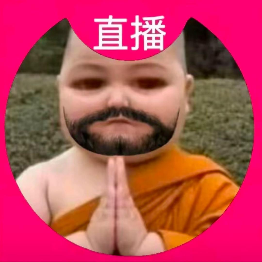 谁的电子小猫猫