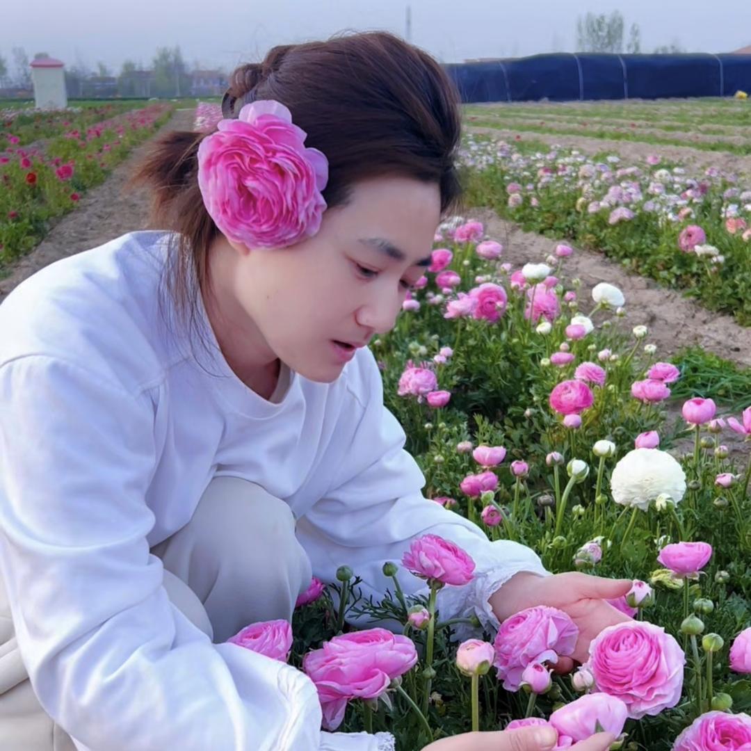 豫东木兰花卉基地