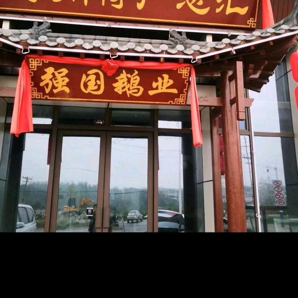强国鹅业3店