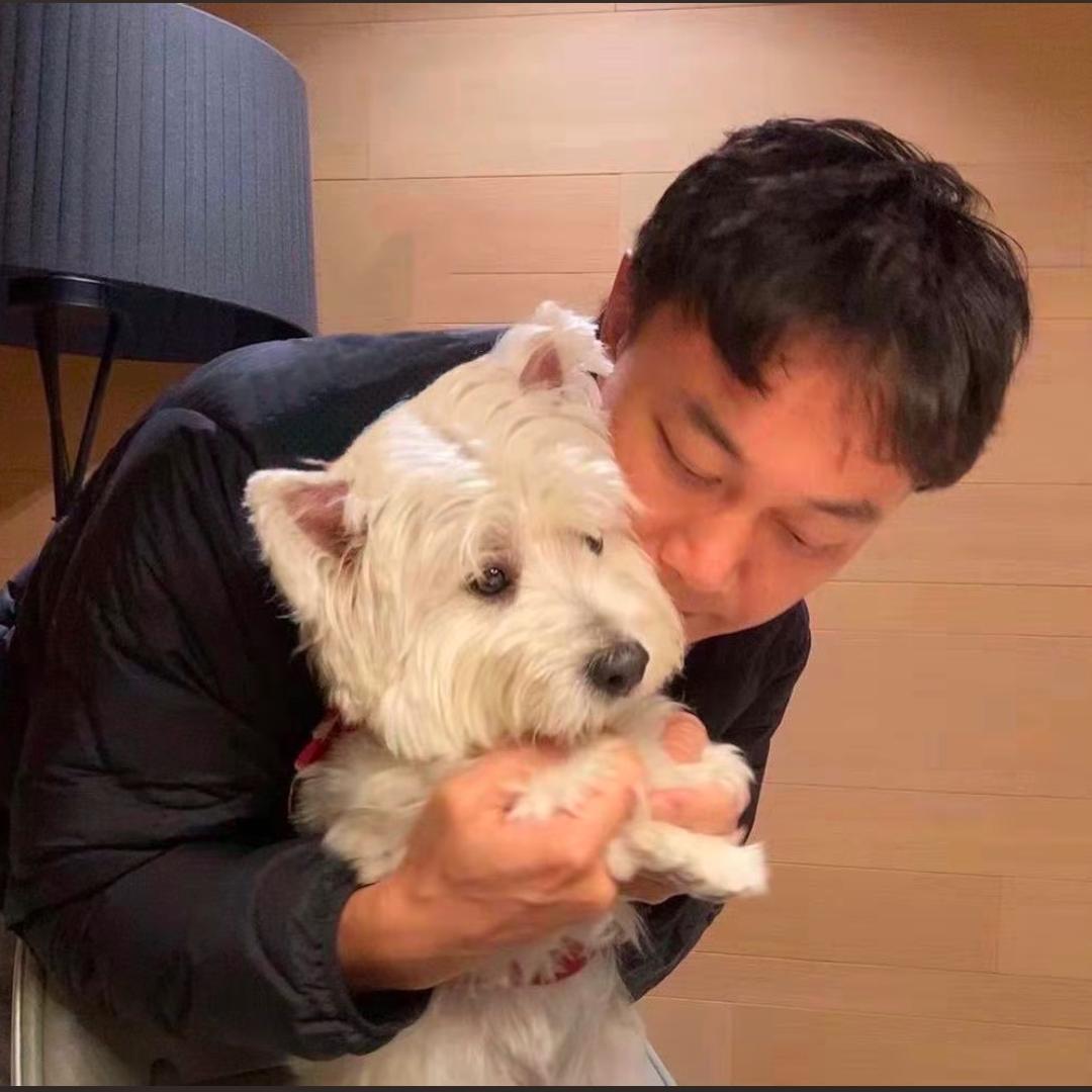 大胖胖胖虎.