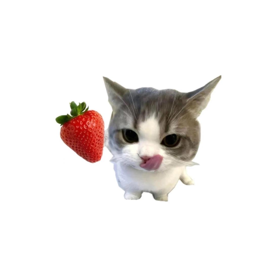 堇荼.