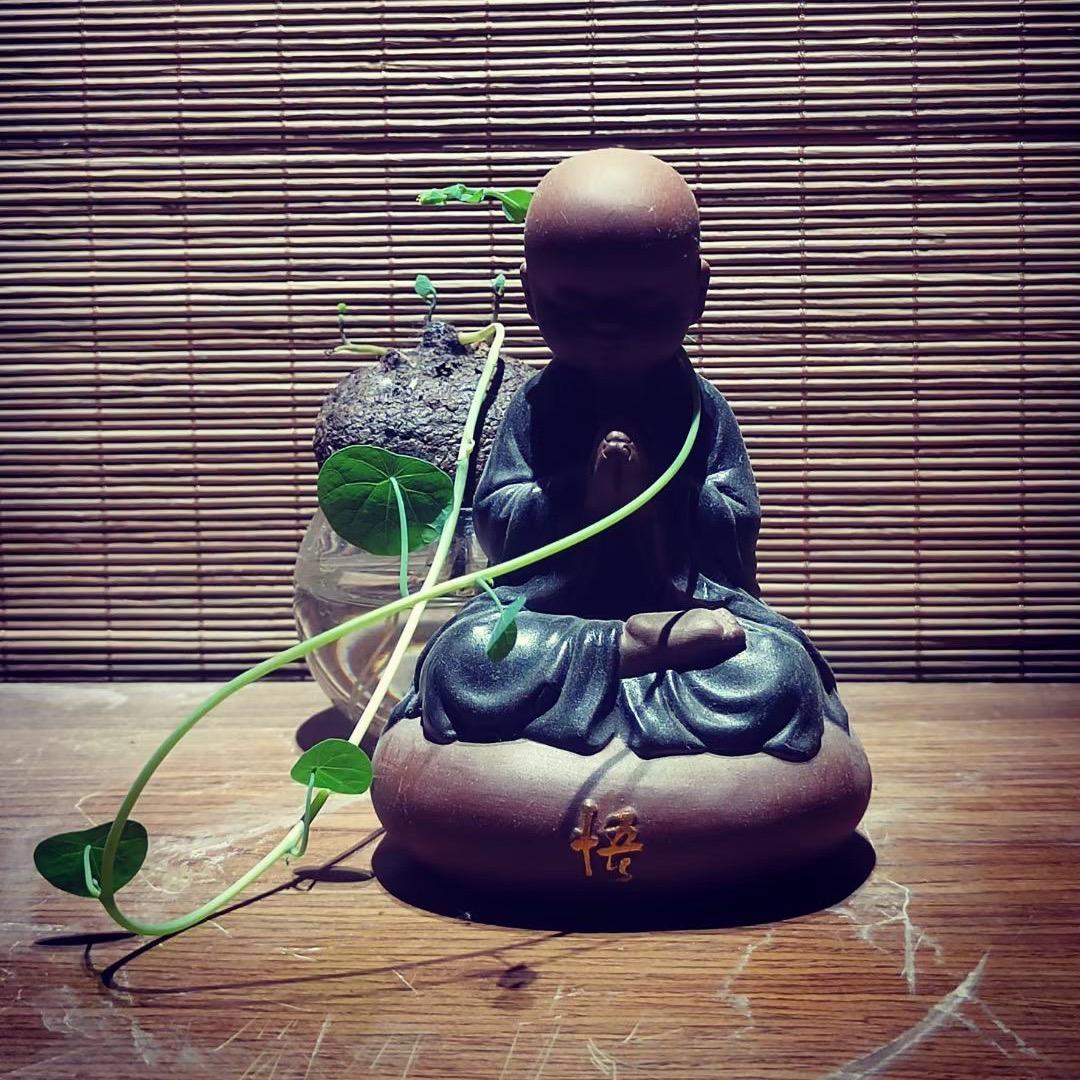 A梁白开