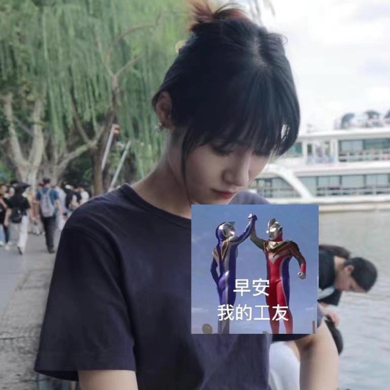 林林总总的历史