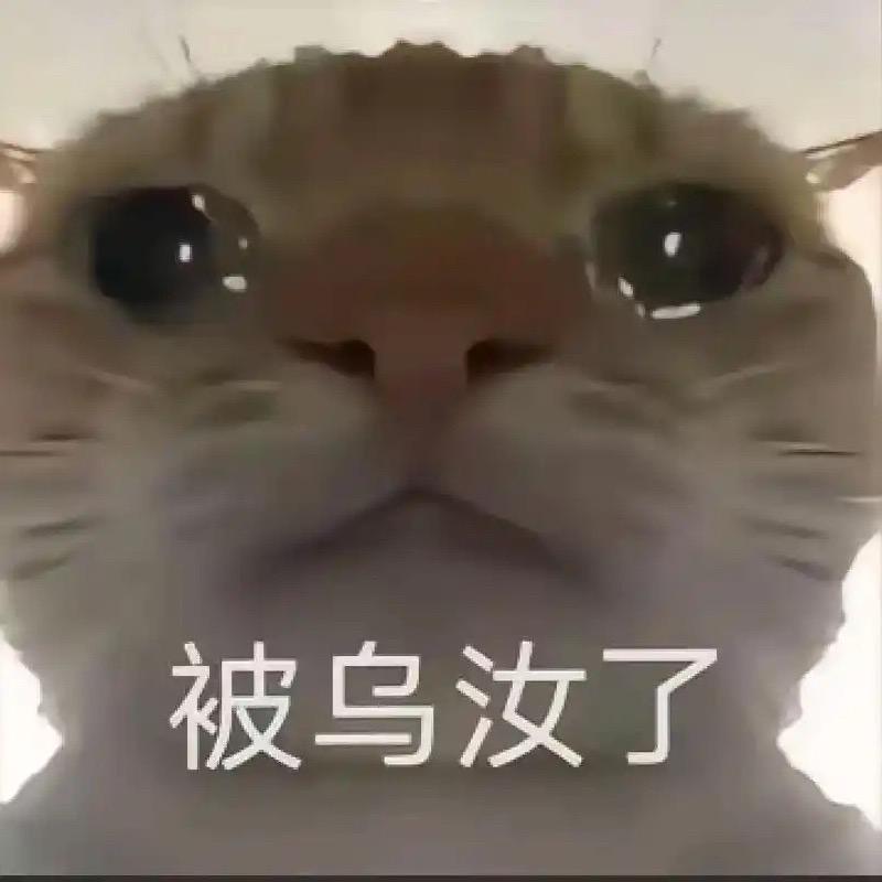 天才小老6跑刀(三角洲行动)