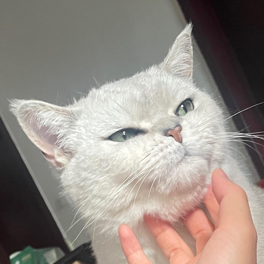 眠眠yay