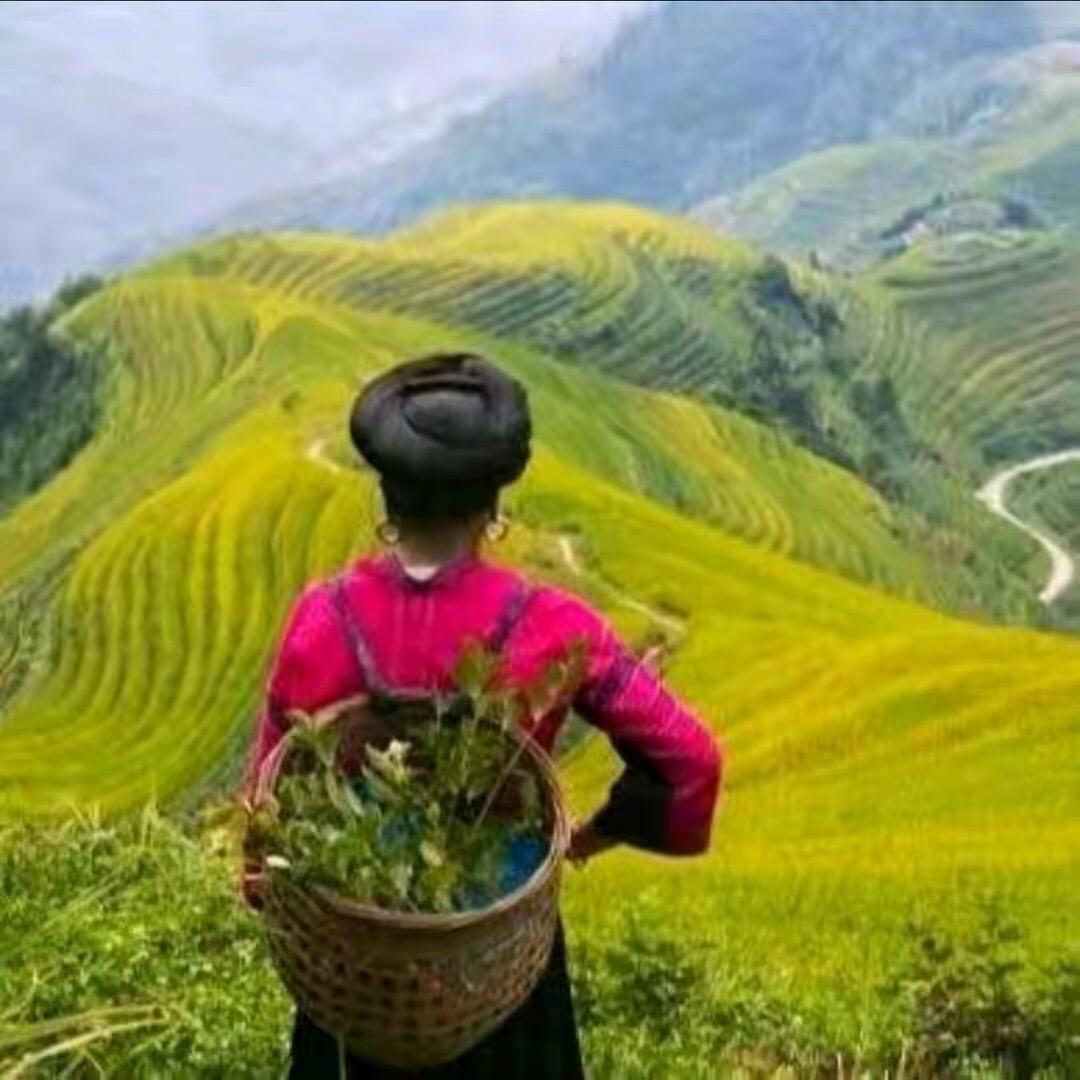 千禧甄选