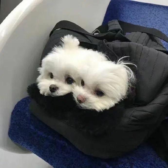 睡不醒的航子