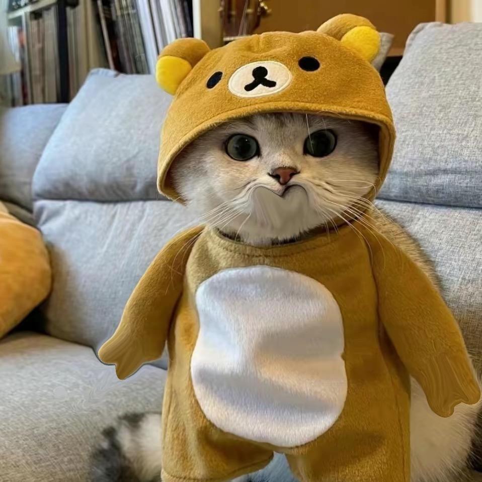过路人