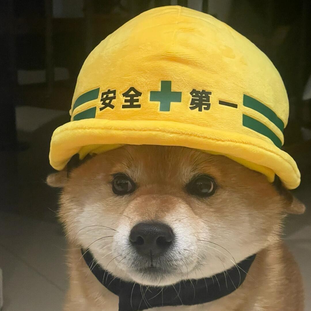 守护星安选