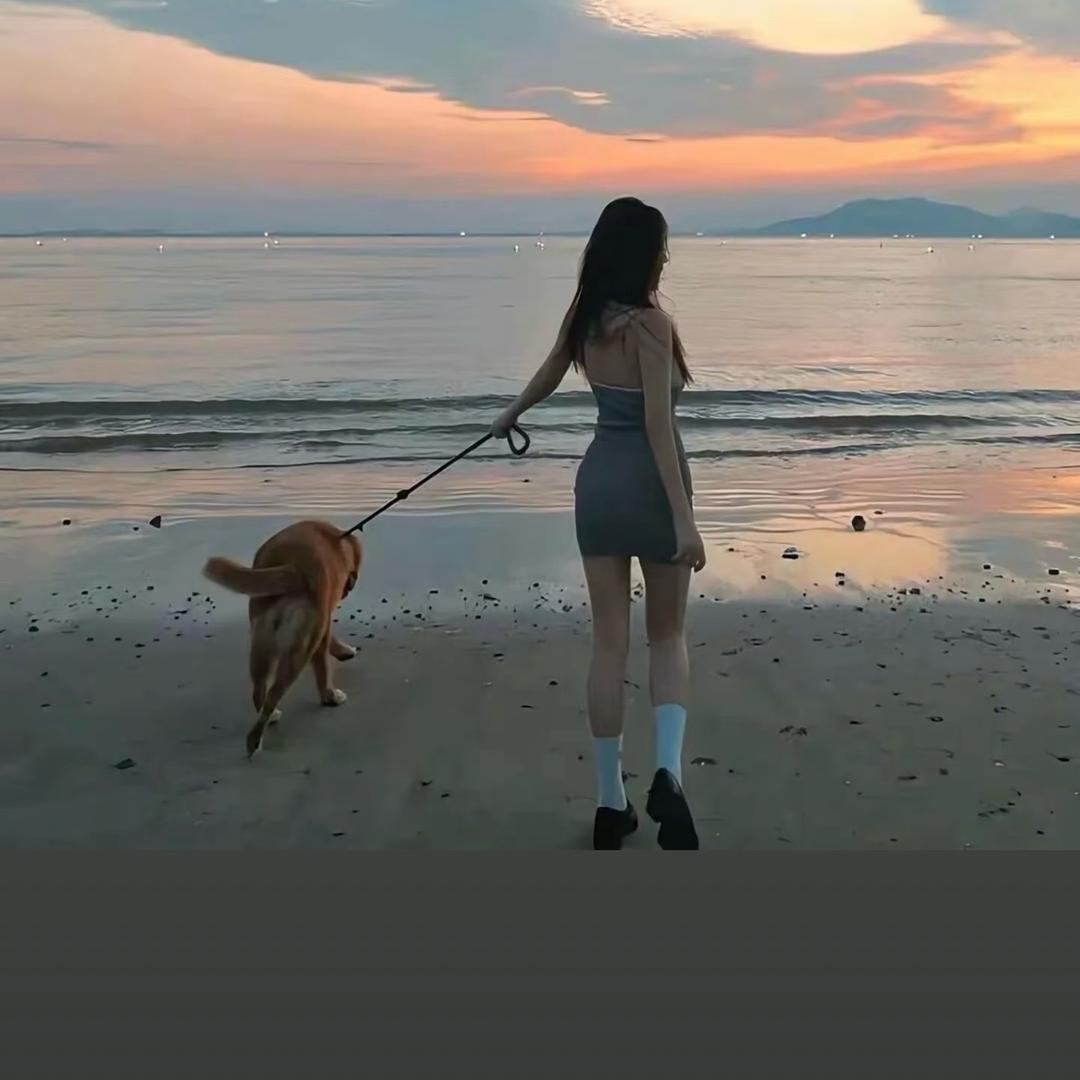 玫瑰