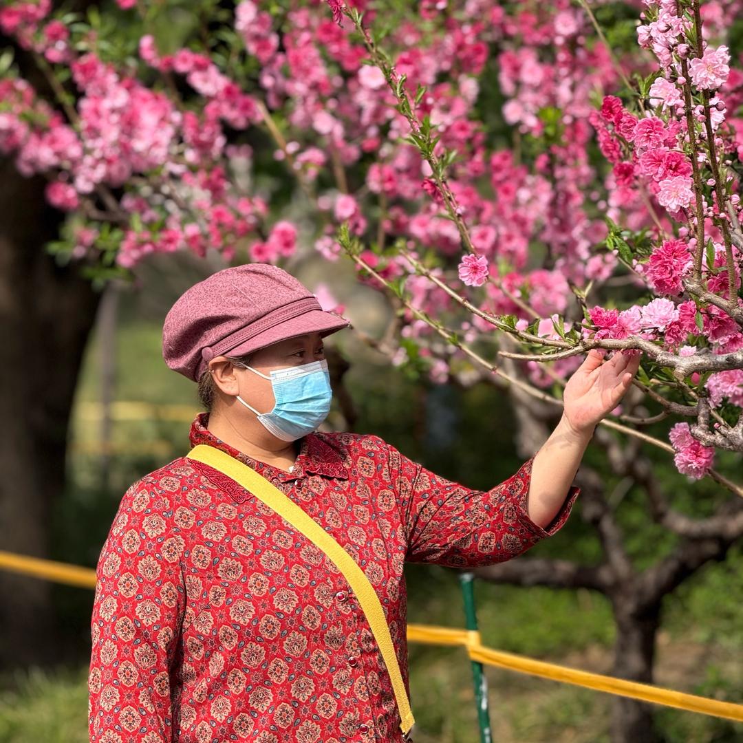 三岁娜拉