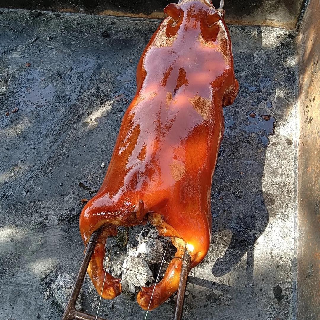 海南海宴金猪烤乳猪