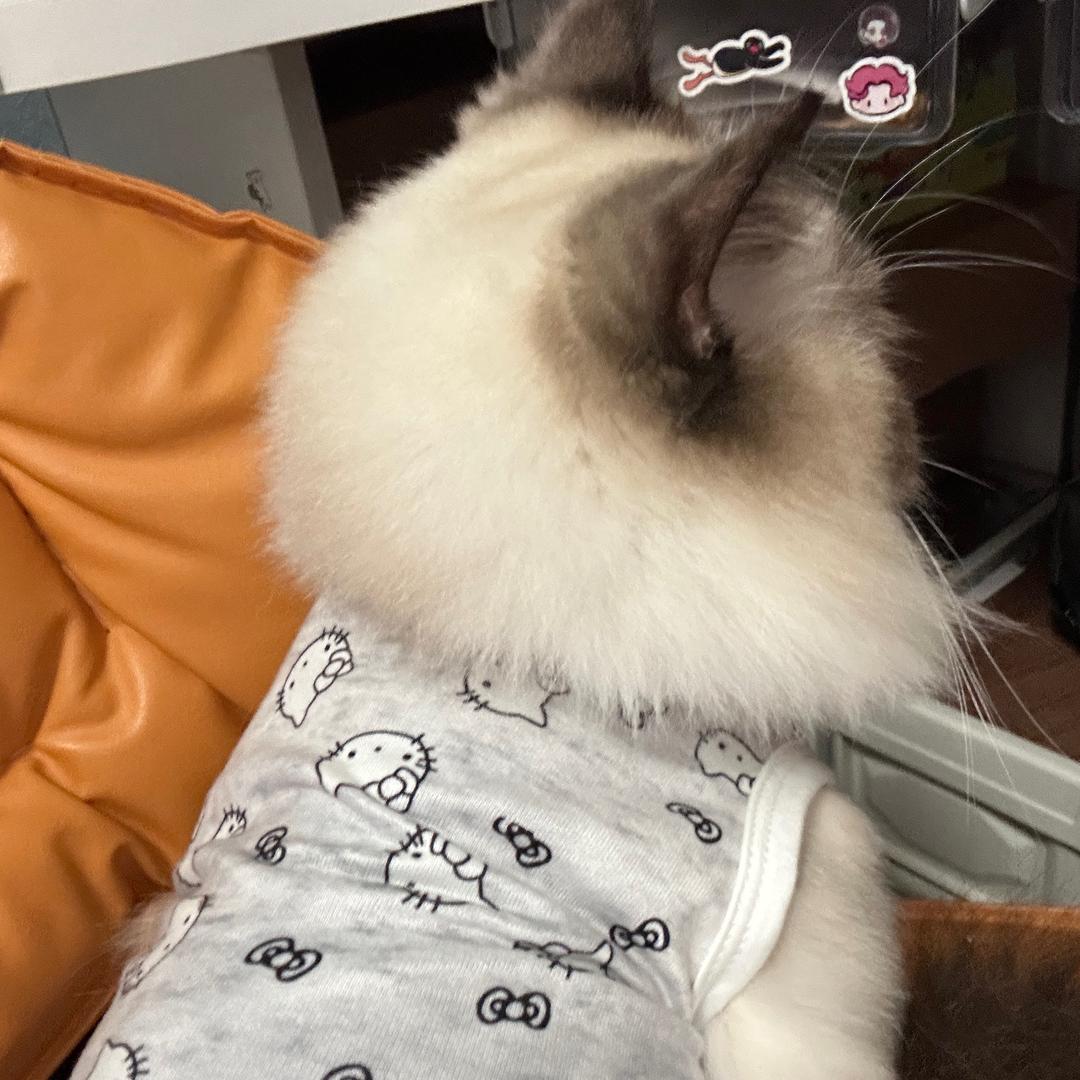 哈哈.