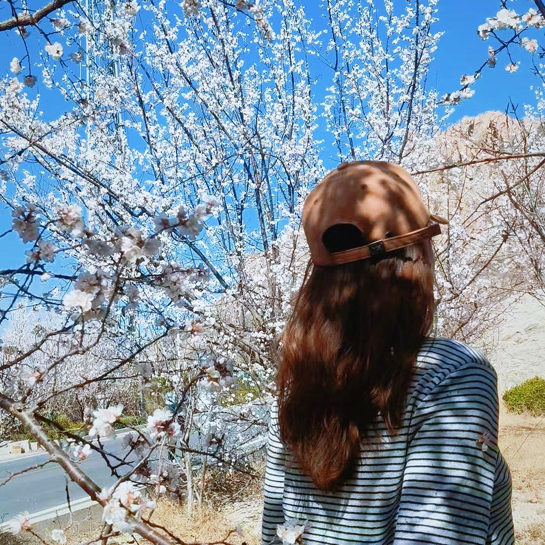@🌈袁袁袁🌸