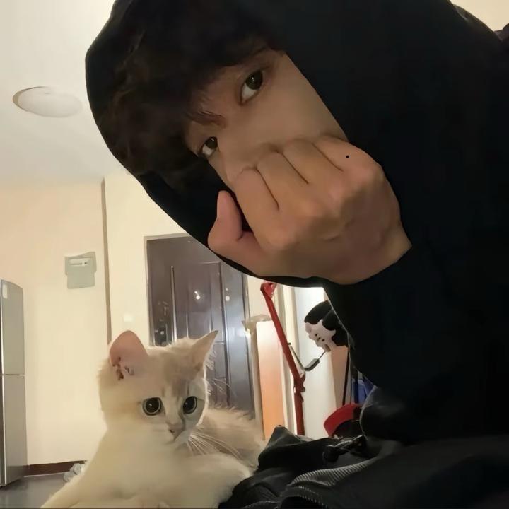 出了名的什么沣