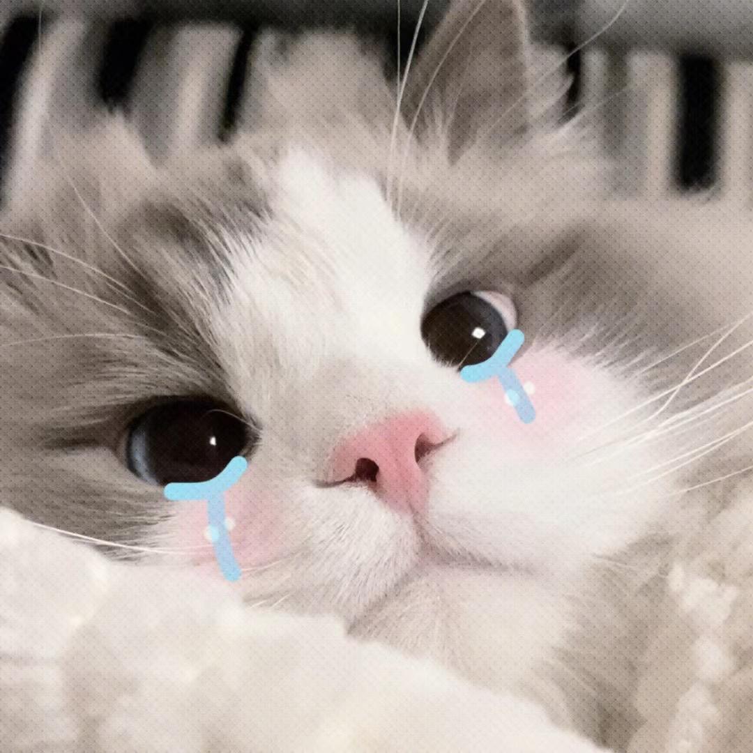 Ty