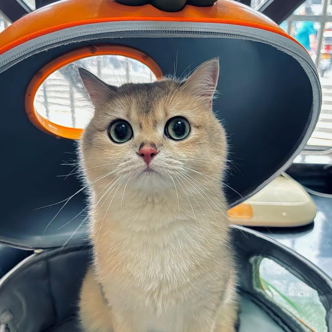 防云