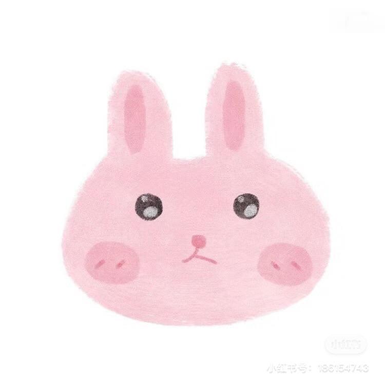 小猪不吃猪食🐷