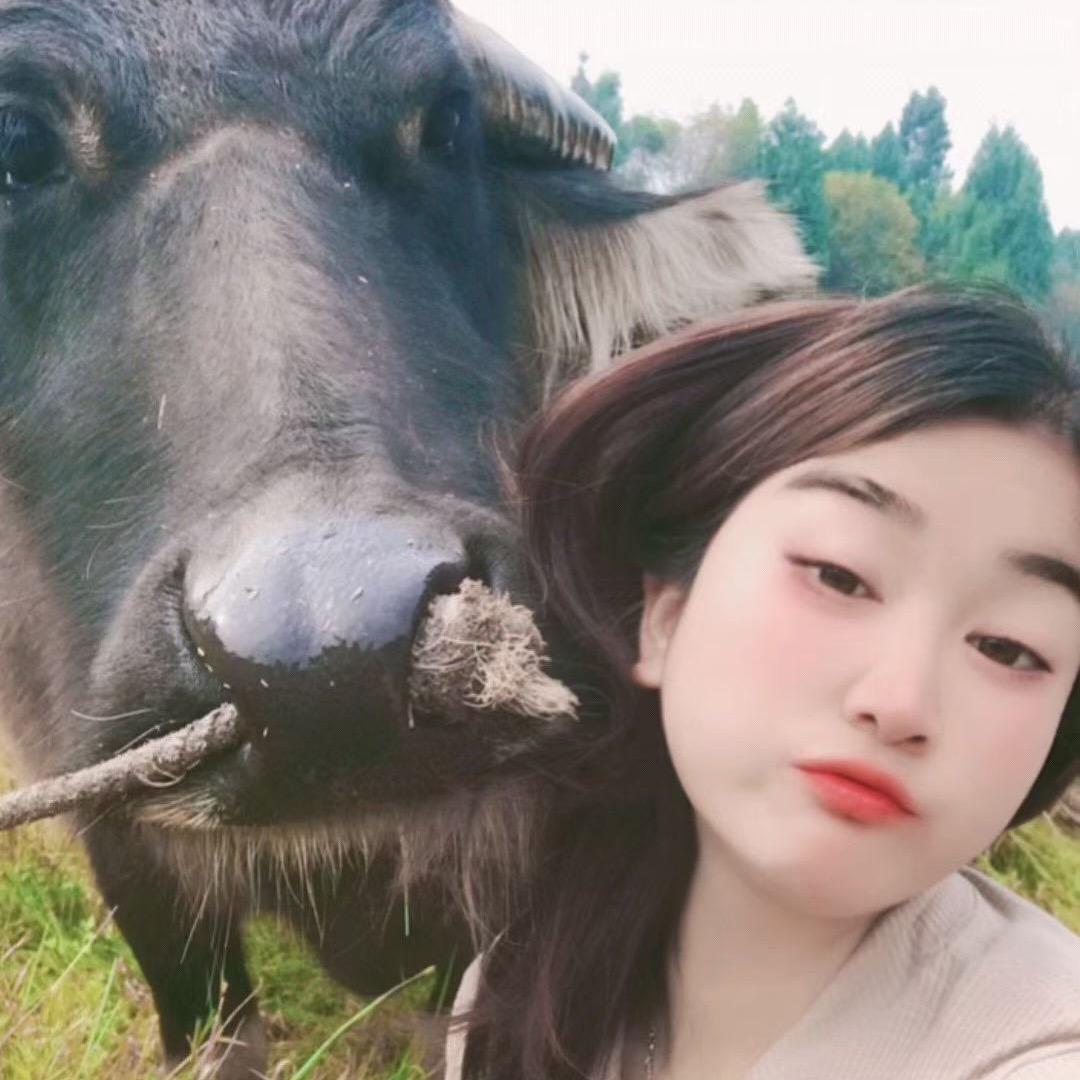 乡村小洁
