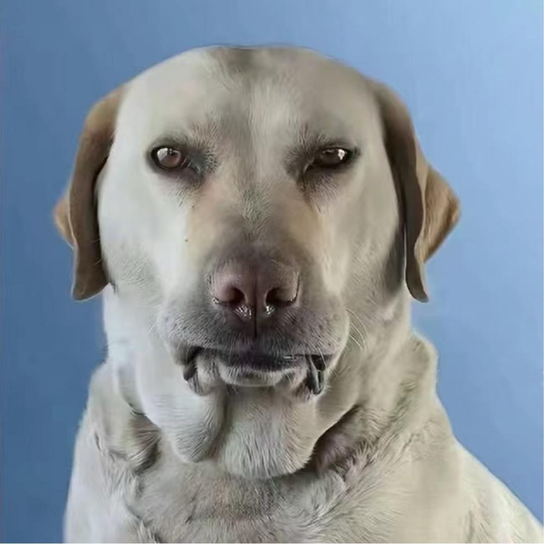 Hh_(^O^)
