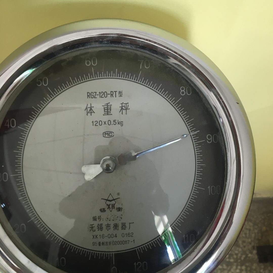 释然的八戒