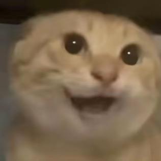 蟑螂鳕鱼堡🍔🥦