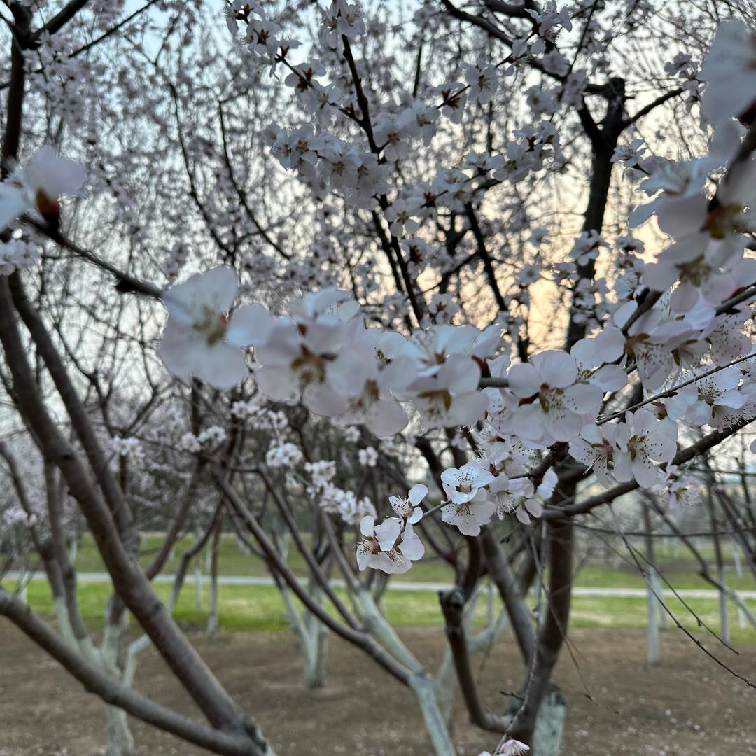 考编老师敏儿