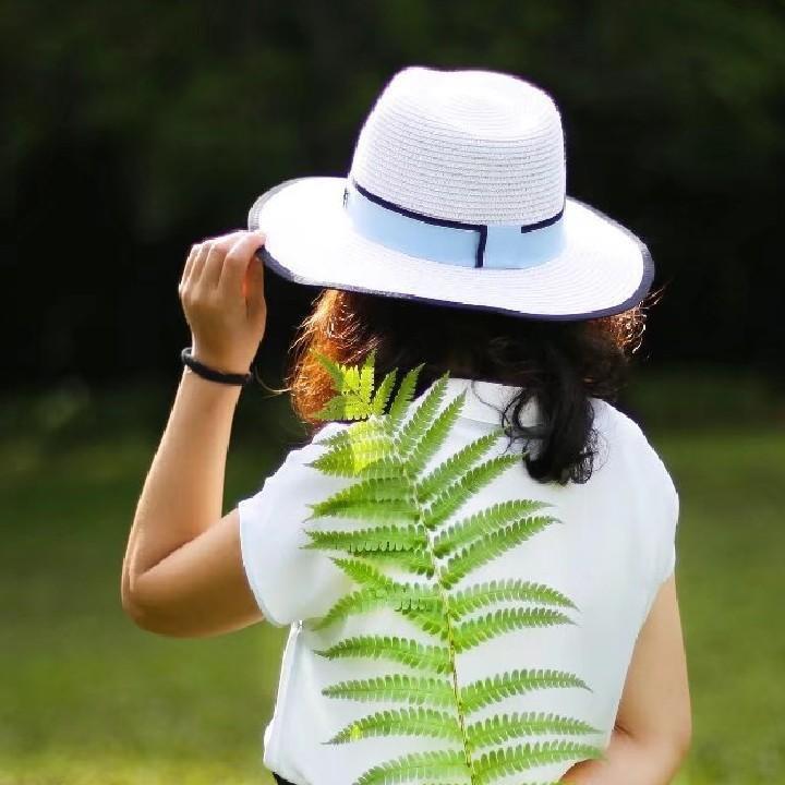 🍀清清🍀河边草🌾