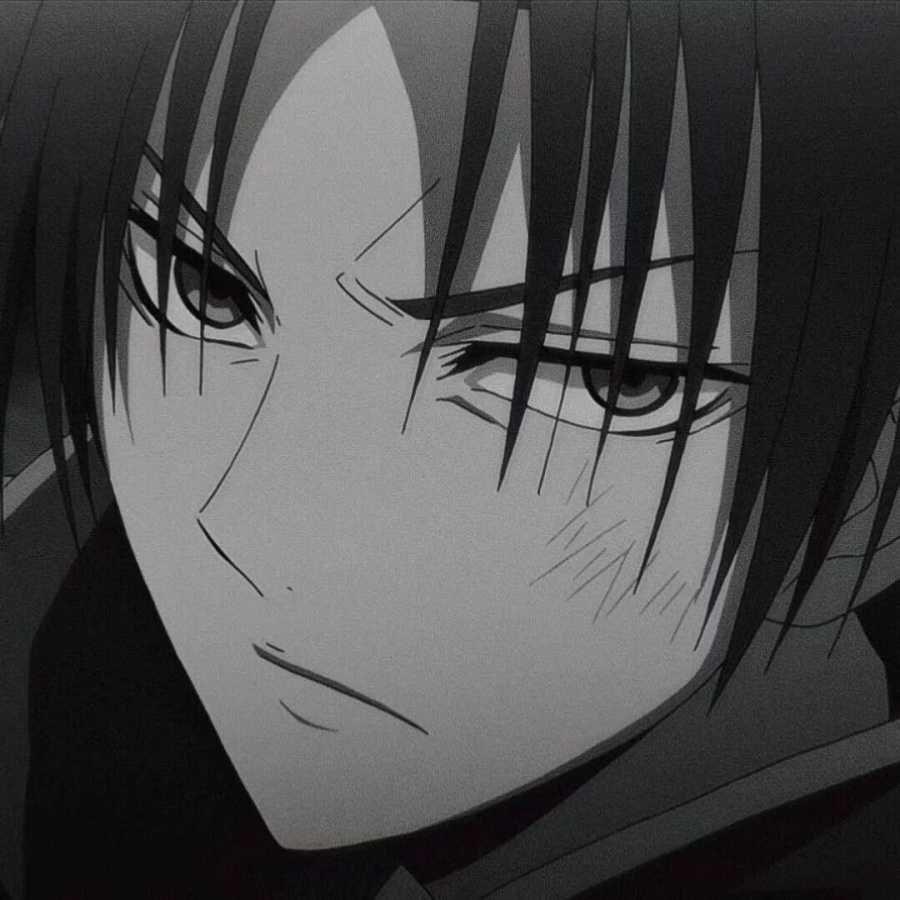 棠舟反问号（三角洲行动）