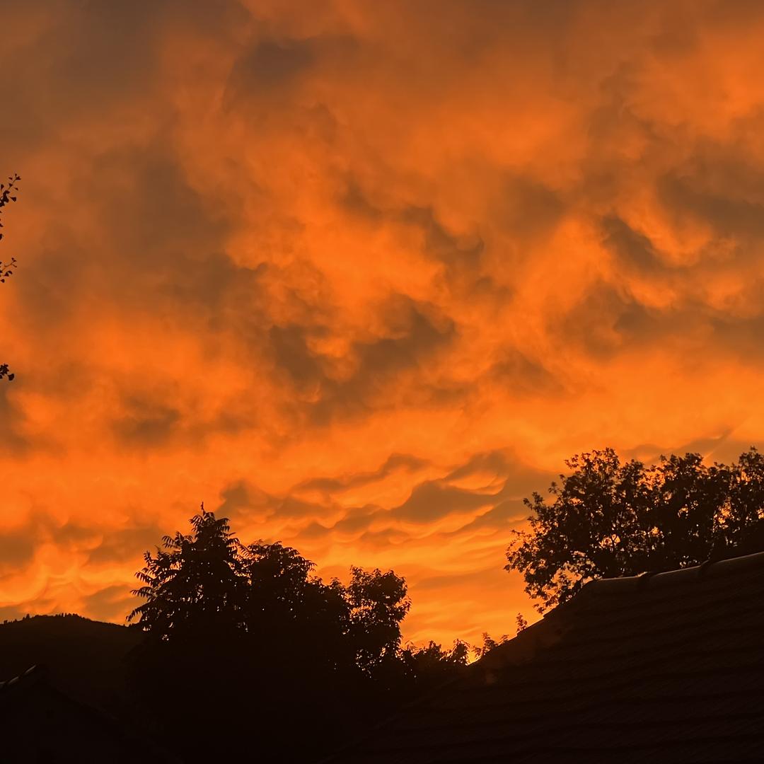 大有说易（常同学）