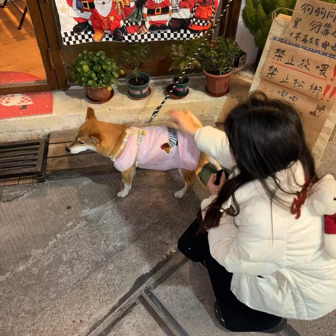 糊涂的小蛋挞