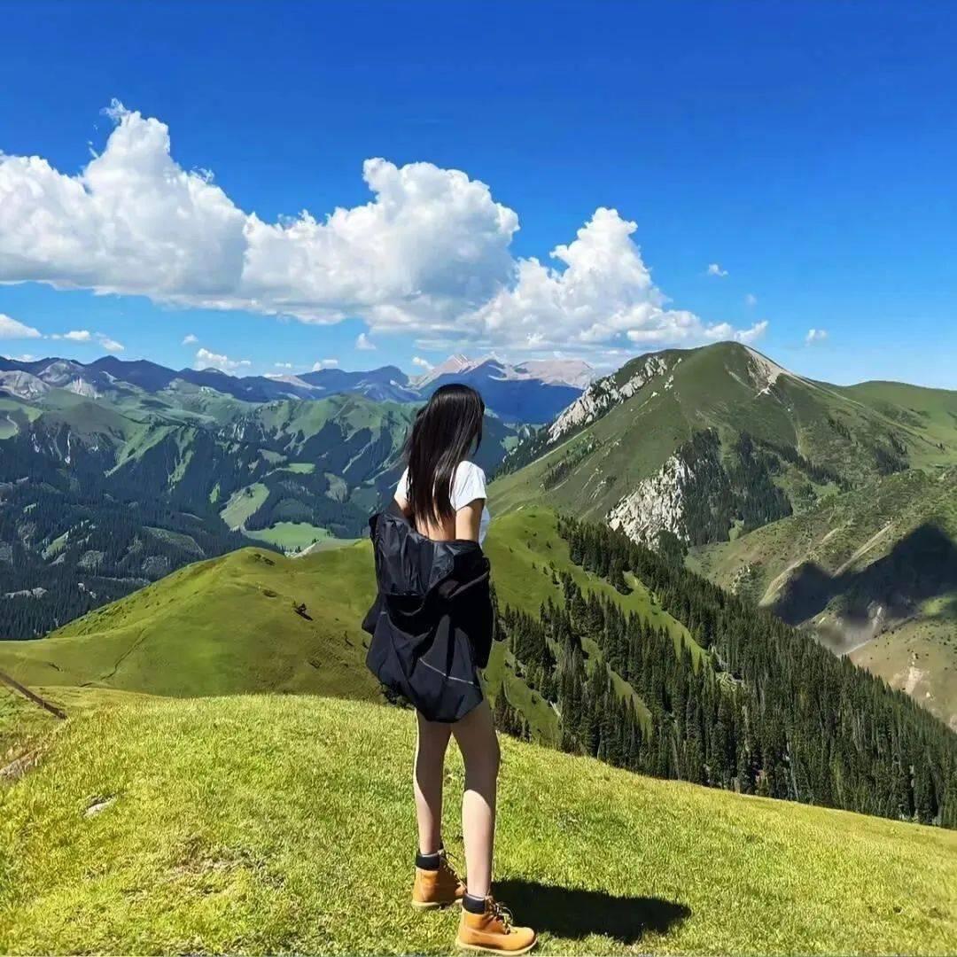 老三团购推荐官