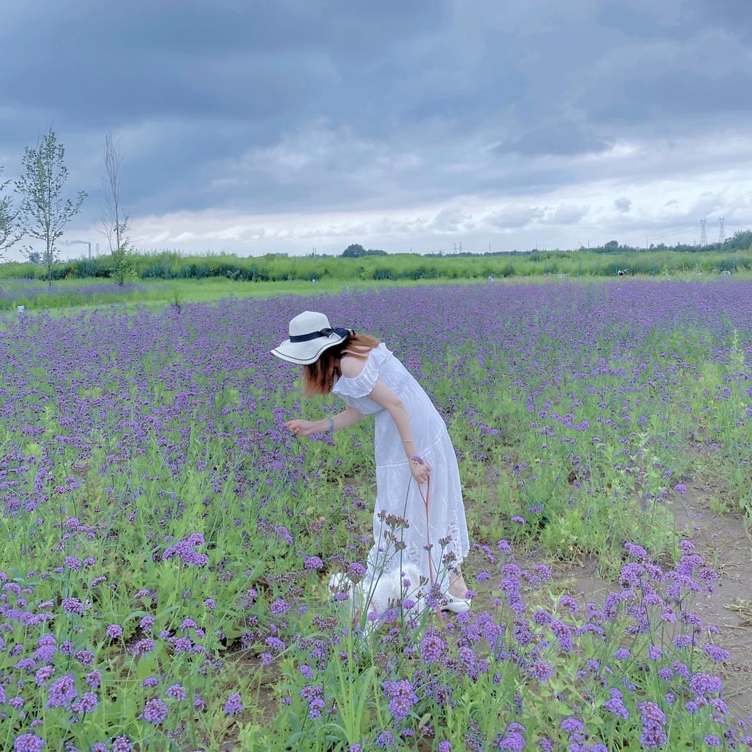 “钞票好多张”女士