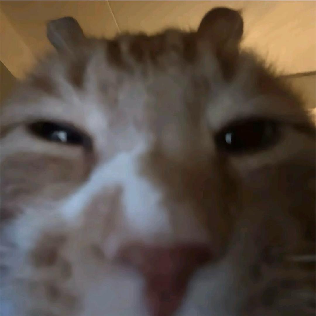 西秋