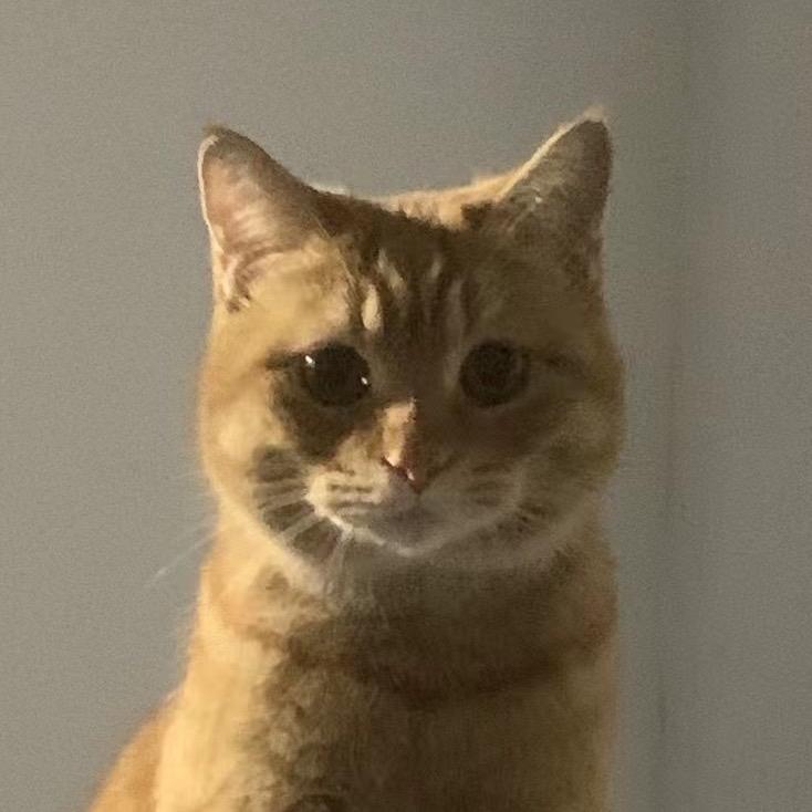 练不大的刘bro（禁止熬夜版）