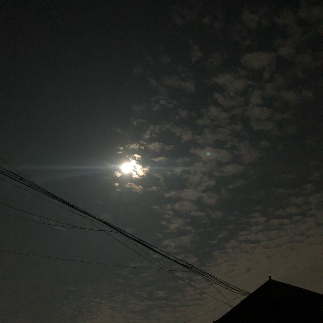 十一dd