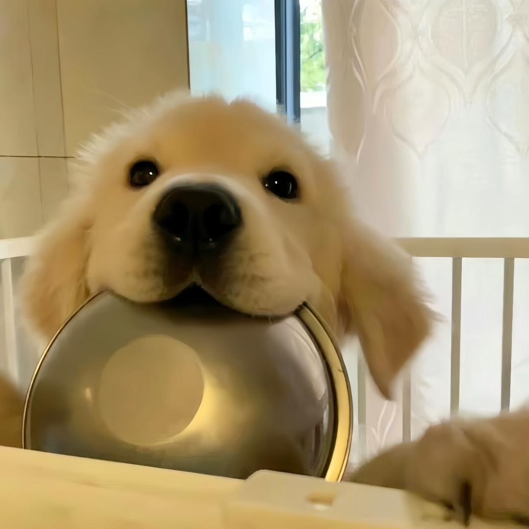 拾忆✨