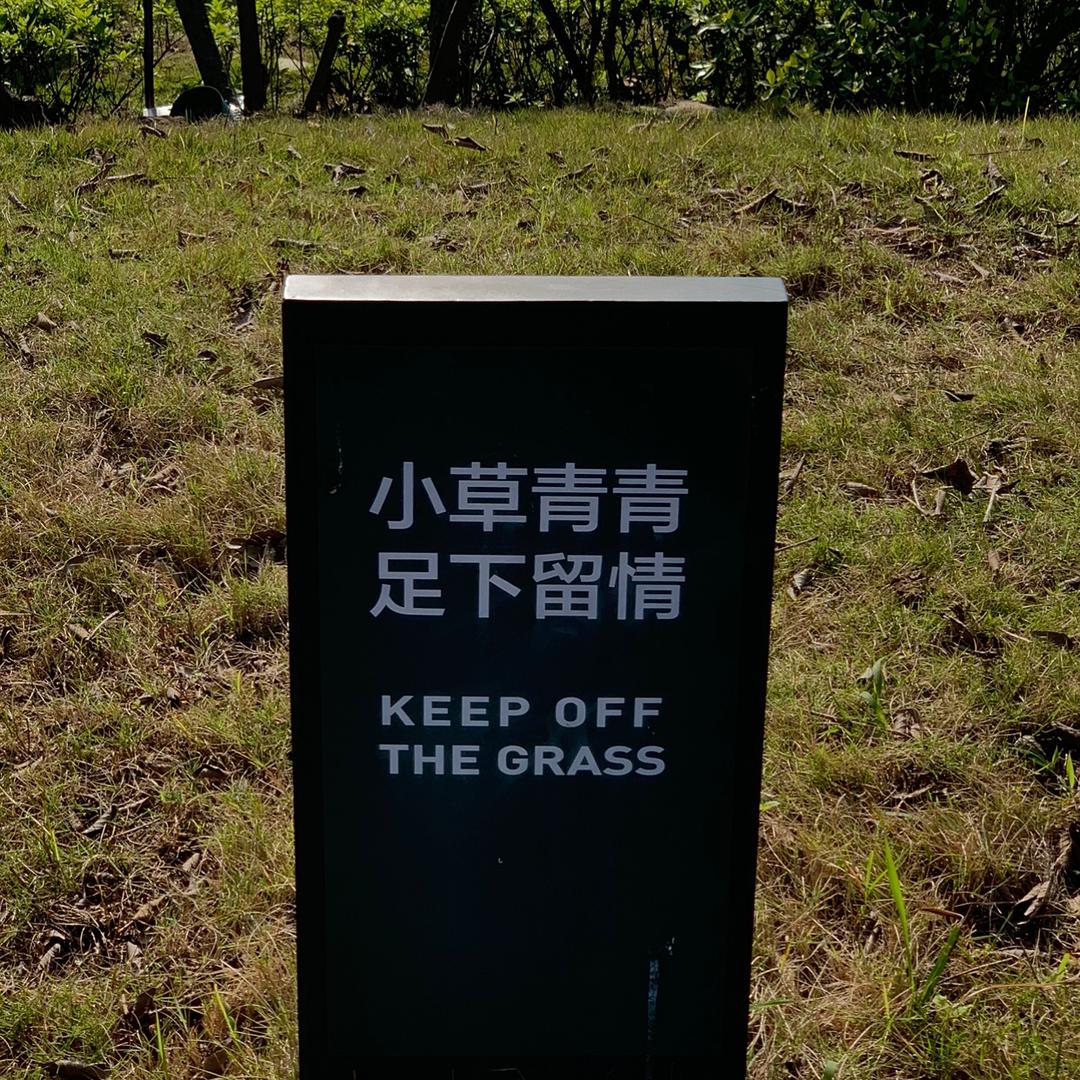 招牌三宝饭
