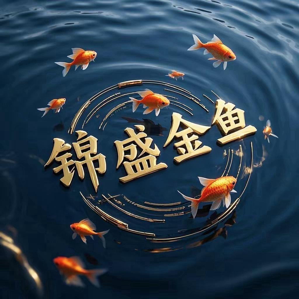 锦盛金鱼(牛子和金鱼)