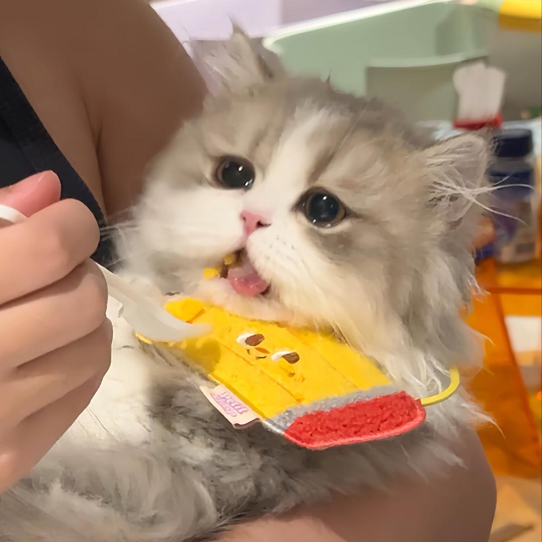 大头鹅子PUPU