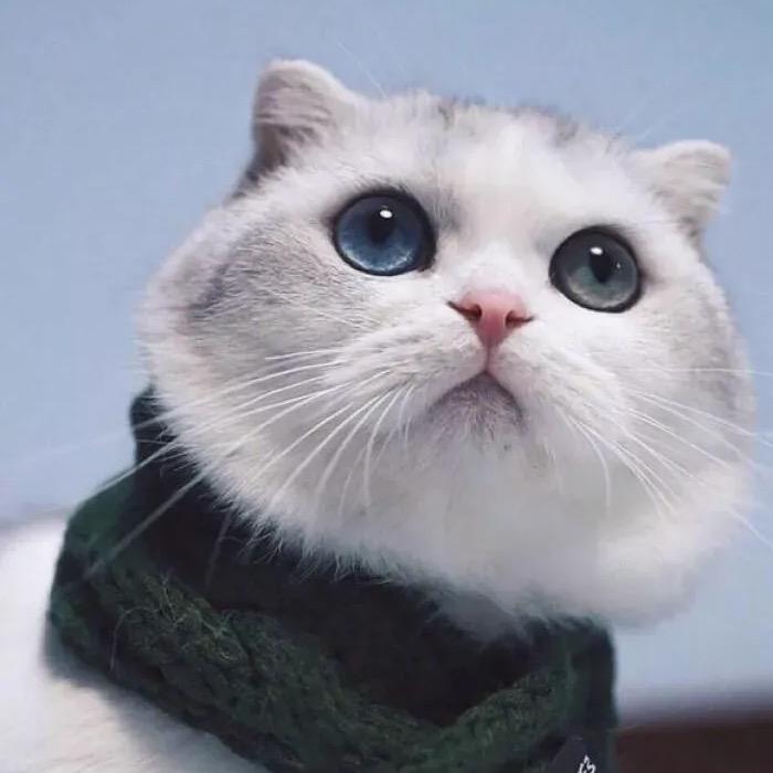 如果艾克以重来、