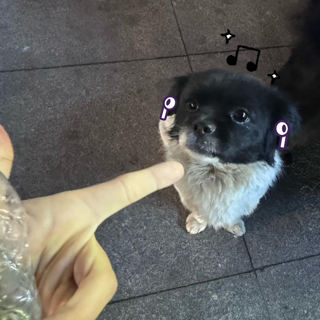 王一