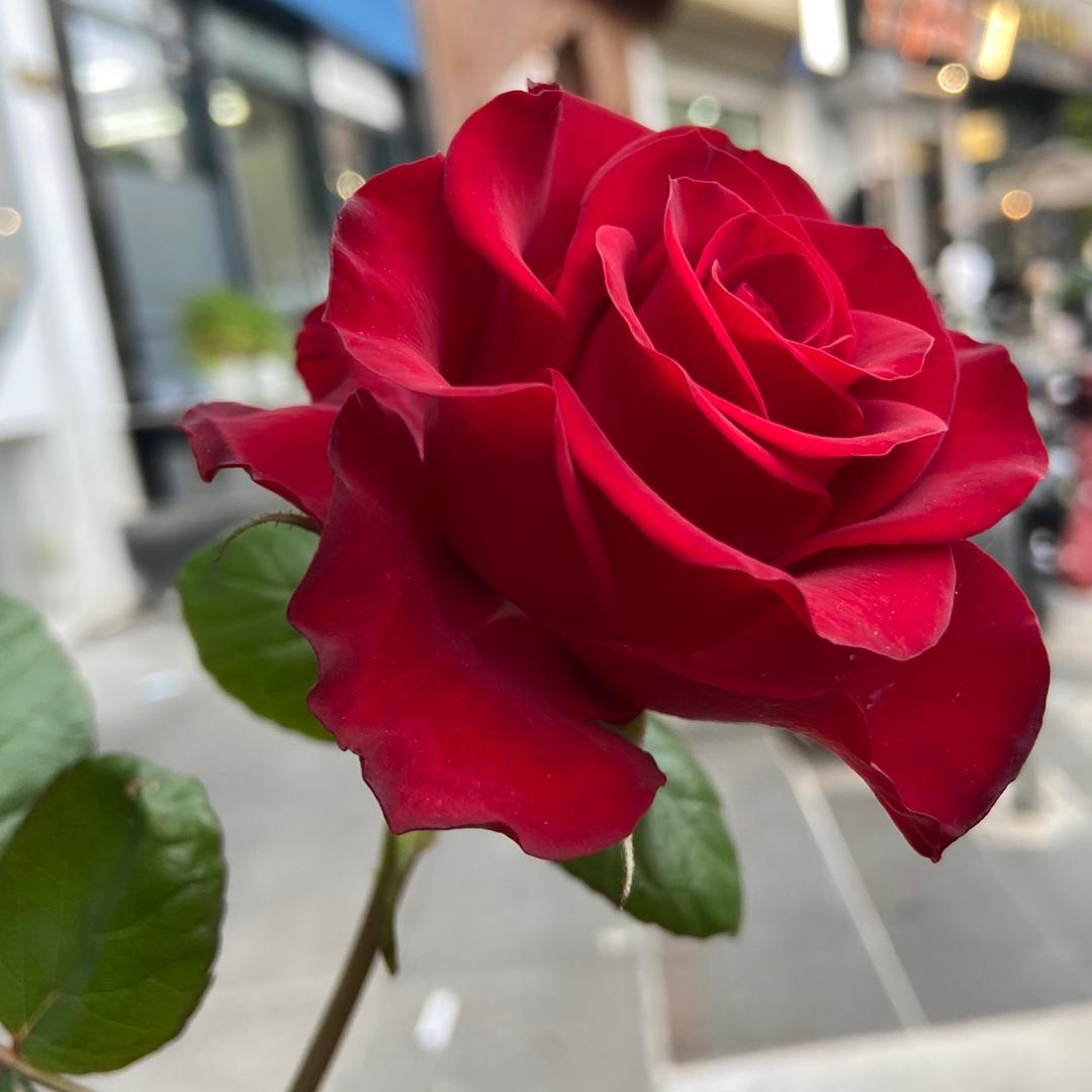 Q心态好一切都好