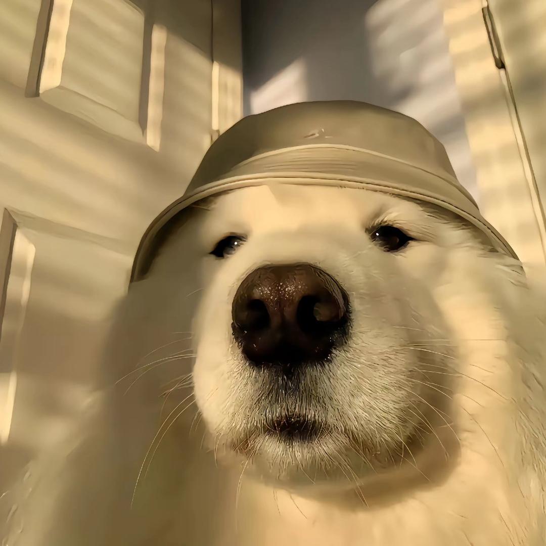 Oooooooooo