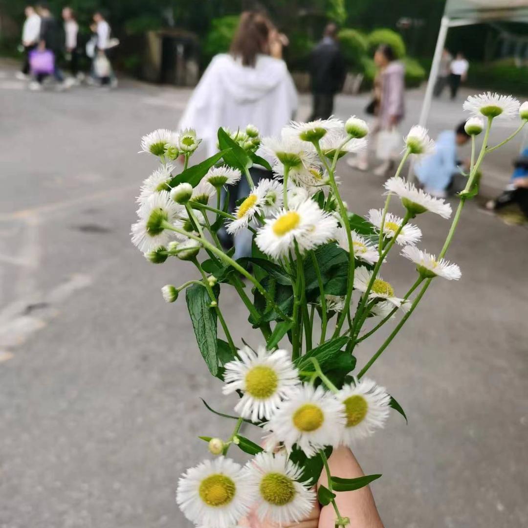 小吴同学