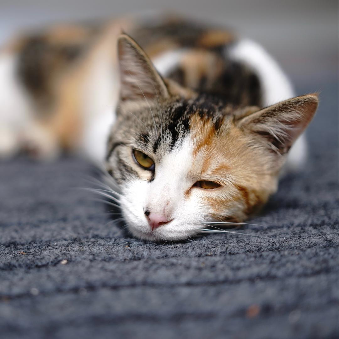 有点意思是不是